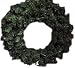 Noma/inliten-import 60090-88 24