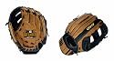 Wilson A450 Series Baseball Glove (9-Inch)