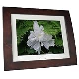 41JK65OHvuL. SL160  SmartParts SPX12 12 Inch Digital Frame