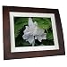 SmartParts SPX12 12-Inch Digital Frame