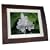 SmartParts SPX12 12-Inch Digital Frame