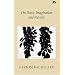 On Poetic Imagination and Reverie