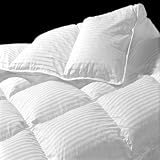 320 TC California/ Cal - Oversized/ Super King 110x100" White Goose Down Comforter: Deluxe Fill