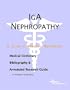 IgA Nephropathy - A Medical Dictionary, Bibliography, and Annotated Research Guide to Internet References