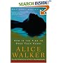 Now Is the Time to Open Your Heart: A Novel