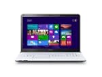Sony VAIO SVE1713L1E - Ordenador port...