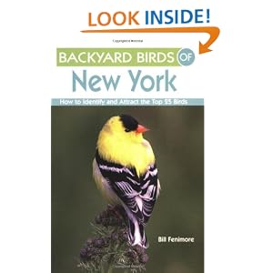 Backyard Birds Pennsylvania Identify Attract
