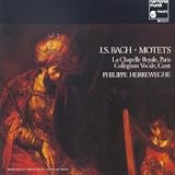 Johann Sebastian Bach : Motets