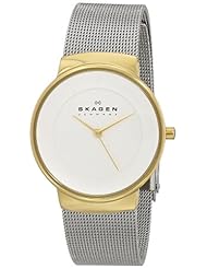 Skagen Womens SKW2076 Klassik Analog Display Analog Quartz Silver Watch