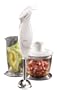 Oster 2605 Hand Blender, White