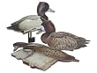 Blue Bill 6 Pak Kit Duck Decoys Duck