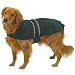 Casual Canine Velvet/Polyester Large Reflective Dog Jacket, 20-Inch, Hunter Green