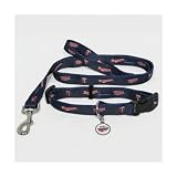 Minnesota Twins Dog Collar & Leash Set