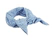 Ex Officio Buzz Off Bandana