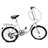5 Speed Folding Bike Cruising Bike with Low Dipping Steel Frame