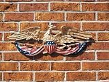 Color 24 Patriotic Wall Eagle