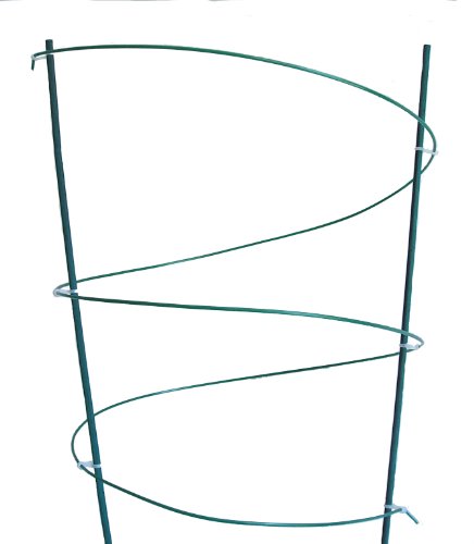 Herbaceous Plant & Veg Border Support (Green)