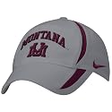 Nike Montana Grizzlies Grey 2007 Players Dri-Fit Flex-Fit Hat