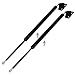 Maxpow 2pcs Hatch Liftgate Gas Charged Lift Support Fits 2005-2009 Toyota 4Runner