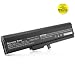 truCELL Premium Replacement Laptop Battery Replaces SONY VAIO Models VGP-BPS5 and VGP-BPS5A