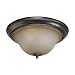 Jeremiah - 3 Light Flush Mount Ceiling Lighting Fixture - Augustine Bronze - Honey Glass - B5198