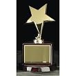 Gold-plated Star Trophy