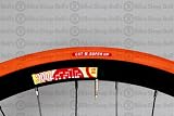 CST C740 Tire - 700 x 25, Wire Bead, Orange/Orange