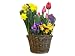 Spring Garden Bulb Gift Basket