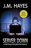 Server Down (Mad Dog & Englishman Mysteries)