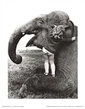 (11x14) John Drysdale (An Elephant Never Forgets) Art Poster Print
