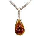 Fossil Scorpion - Hemp Necklace