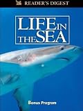Wondrous Secrets of the Ocean Realm: Life in the Sea