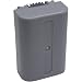 Lenmar LISP50 Replacement for sony NP-FP50