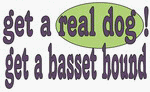 get a real dog! Get a basset hound 11 oz. White Mug