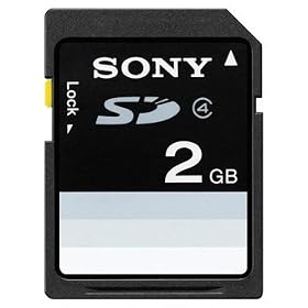 Sony 2 GB Flash Memory Card SF2N1/TQ (Black)
