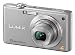 Panasonic DMC-FX40EG-S Digitalkamera (12 Megapixel, 5-fach opt. Zoom, 6,4 cm (2,5 Zoll) Display, Bildstabilisator) silber