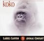 Koko, Fine Animal Gorilla
