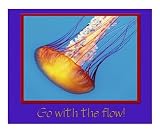 255W Go with the Flow