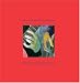 Classical Music : Solos and Duos for Guitar