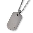 Brushed Titanium and Diamond Dog Tag on 22 Inch Chain
