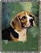 Beagle Throw Blanket