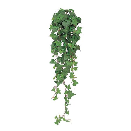 【人工植物】オカメハンギンググリーン