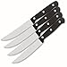 Cuisinart 4-Piece Steak Knife Set in Hanging Gift Box