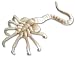 Alien - Bendable Plush Replica : Alien Face Hugger_s-2
