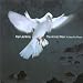 Music : Jenkins: The Armed Man - A Mass For Peace