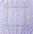 Double Sided Lavender Paisley Bandana