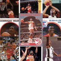 10 Different Dominique Wilkins Basketball Cards - Mint Condition In Display Album !!