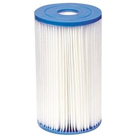Intex Filter Cartridge-Type B