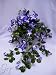 Kitchen & Housewares : Artificial Silk Flower Morning Glory Trailing Plant for Hanging Basket (Purple)