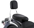 Cobra Standard Sissy Bar 02-5110